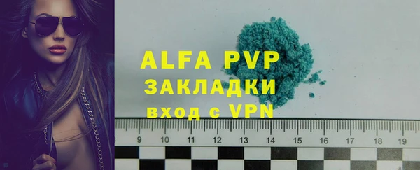 индика Краснотурьинск