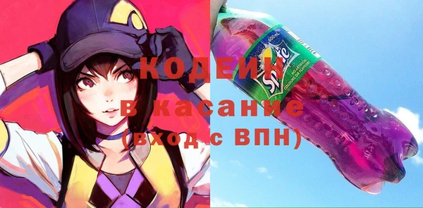 индика Краснотурьинск