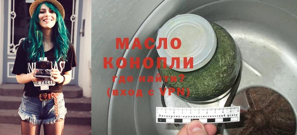 индика Краснотурьинск
